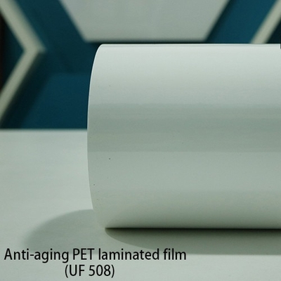 120 película laminada ANIMAL DOMÉSTICO de la resistencia a las inclemencias del tiempo 0.12m m del micrón