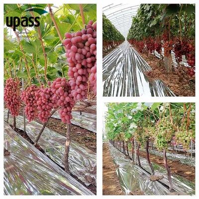Agricultural Silver Reflective Mulch Film Aluminum Foil PET/PE Blow Molding for Farm Use Fruit Trees Cherries Vine Ground Cover