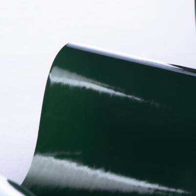 Modified PET Release Film BOPP CPP High Quality Plastic Pet Release Film Blow Molding Cutting 100*55*55cm Roll