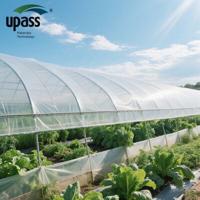 Película para Invernadero Agrícola UF508 Anti-UV Anti-Envejecimiento Directo de Fábrica MOQ 5000 Metros Cuadrados Moldeo por Soplado Rollo 100x55x55cm
